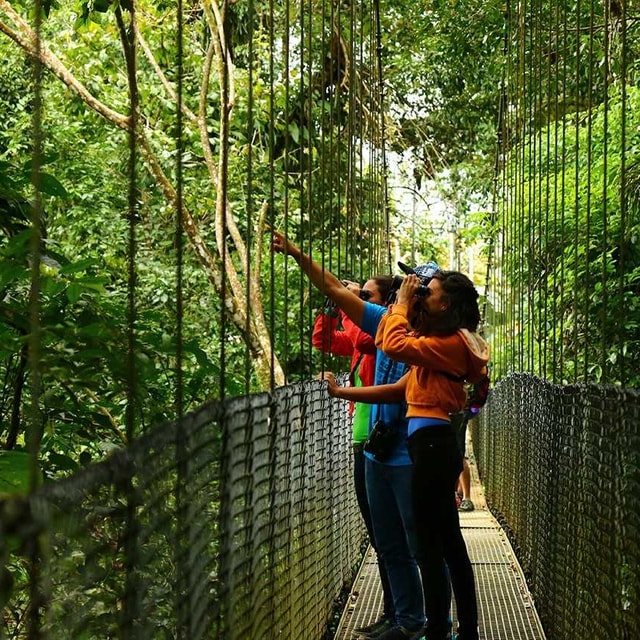 La Fortuna: Hanging Bridges, Arenal Volcano, and Falls Tour