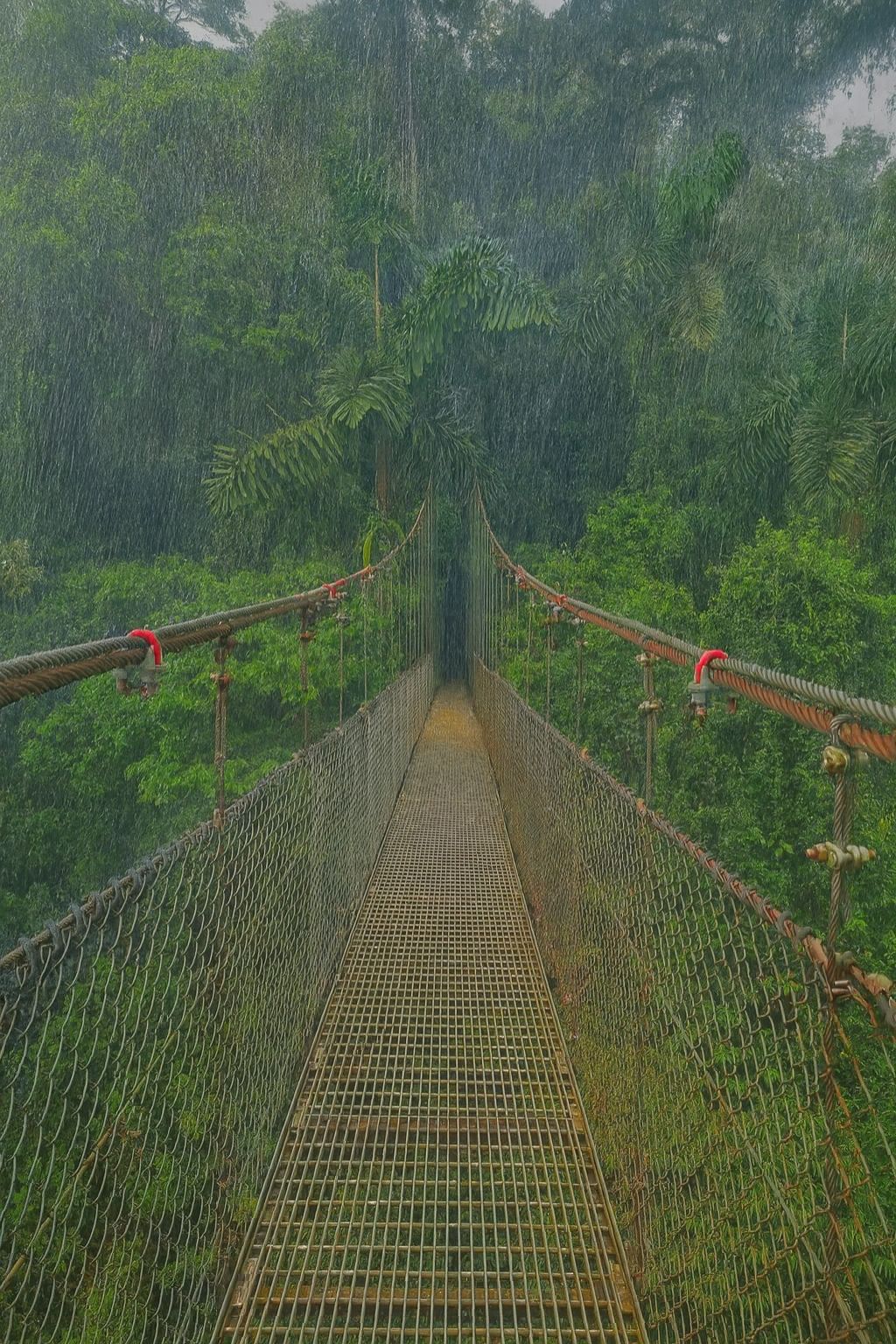Místico Hanging Bridges
