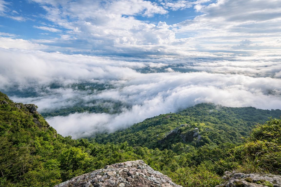 Monteverde Cloud Forest landscape with dense rainforest hills and low-hanging clouds, captured on a nature tour with Arenal Volcano Costa Rica Tours.
